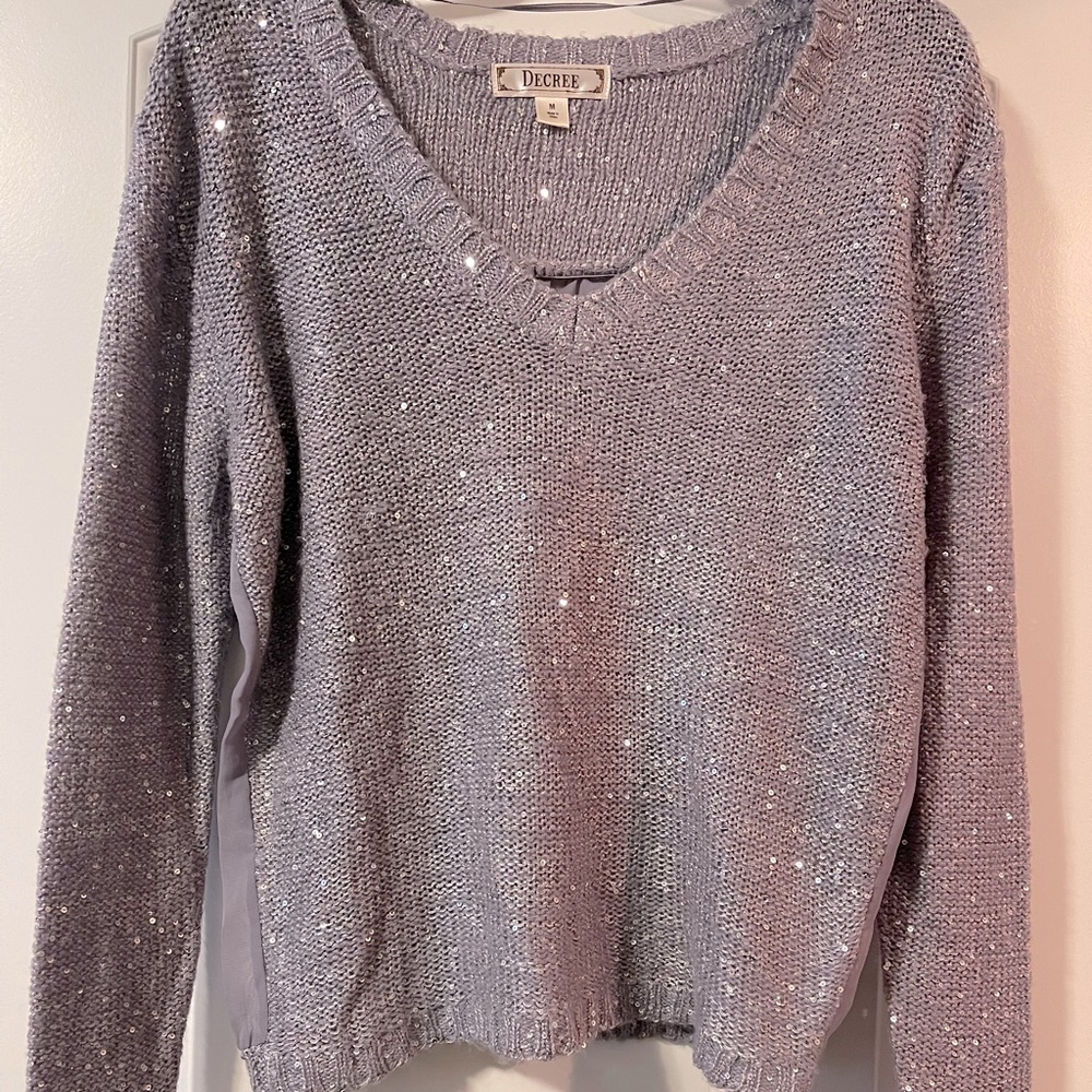 Decree Long Sleeve Sequin Sweater